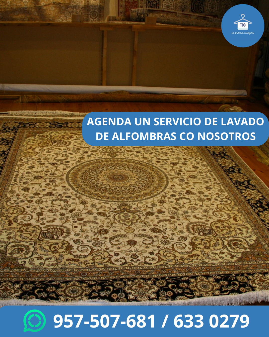 Lavado Alfombras