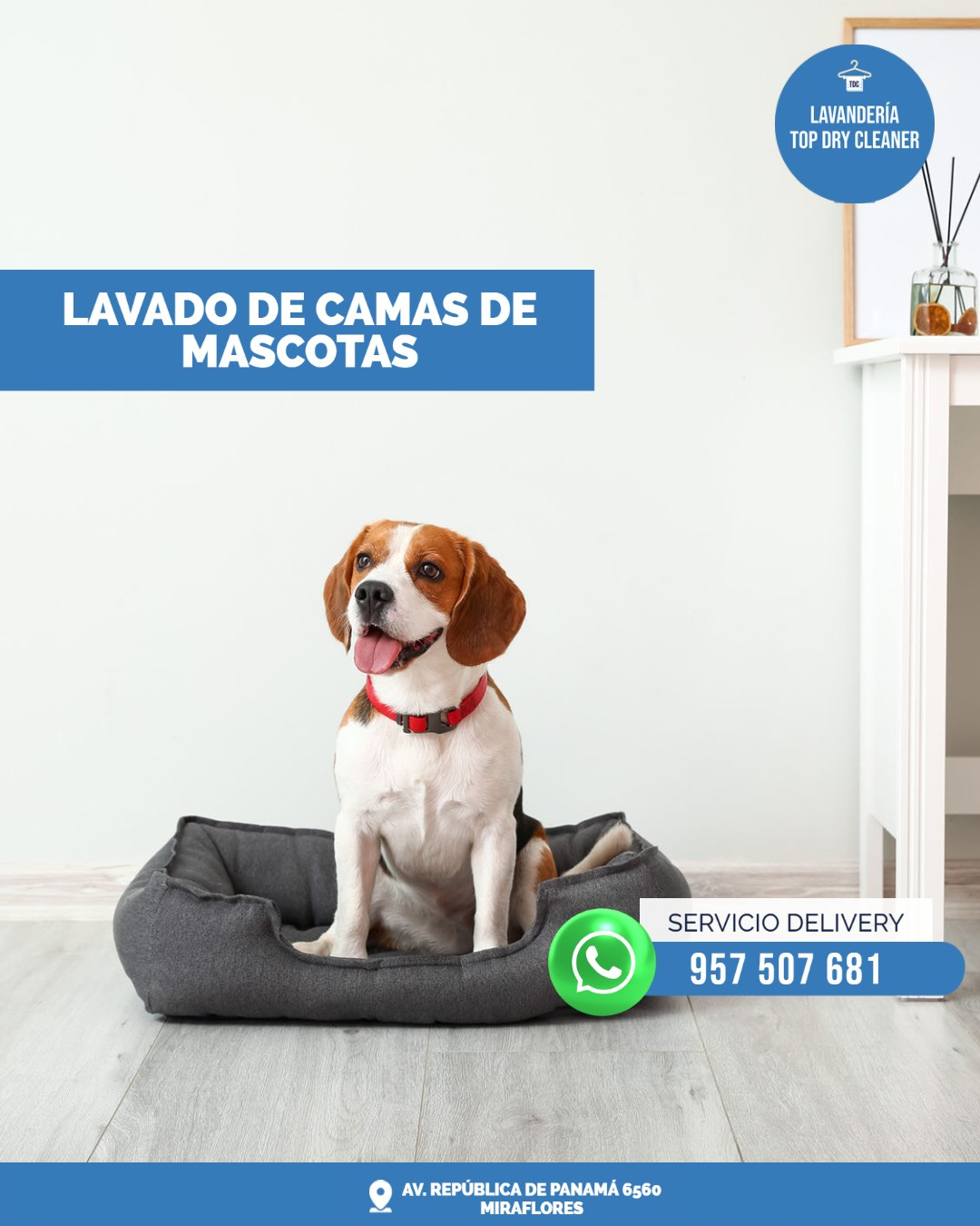 Lavado Cama Perro