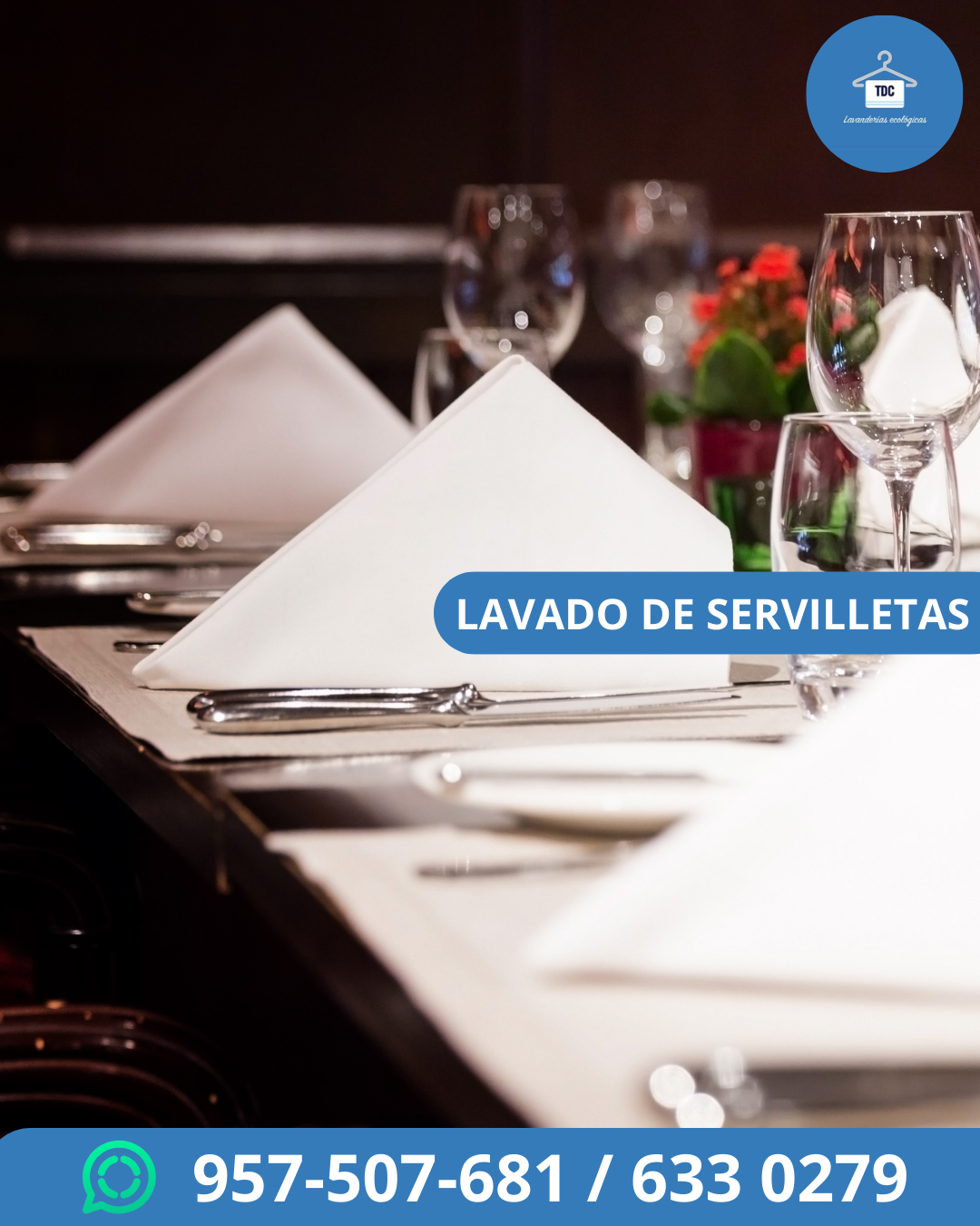 Lavado Servilletas