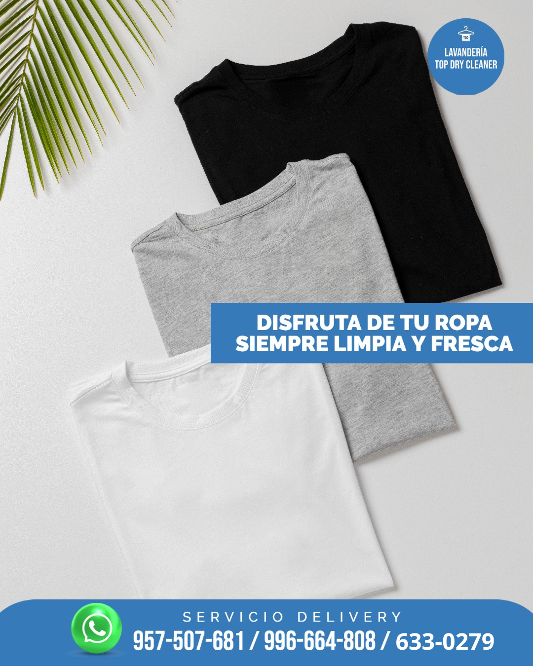Lavado de Polos